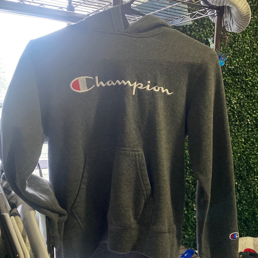 Champion gray hoodie